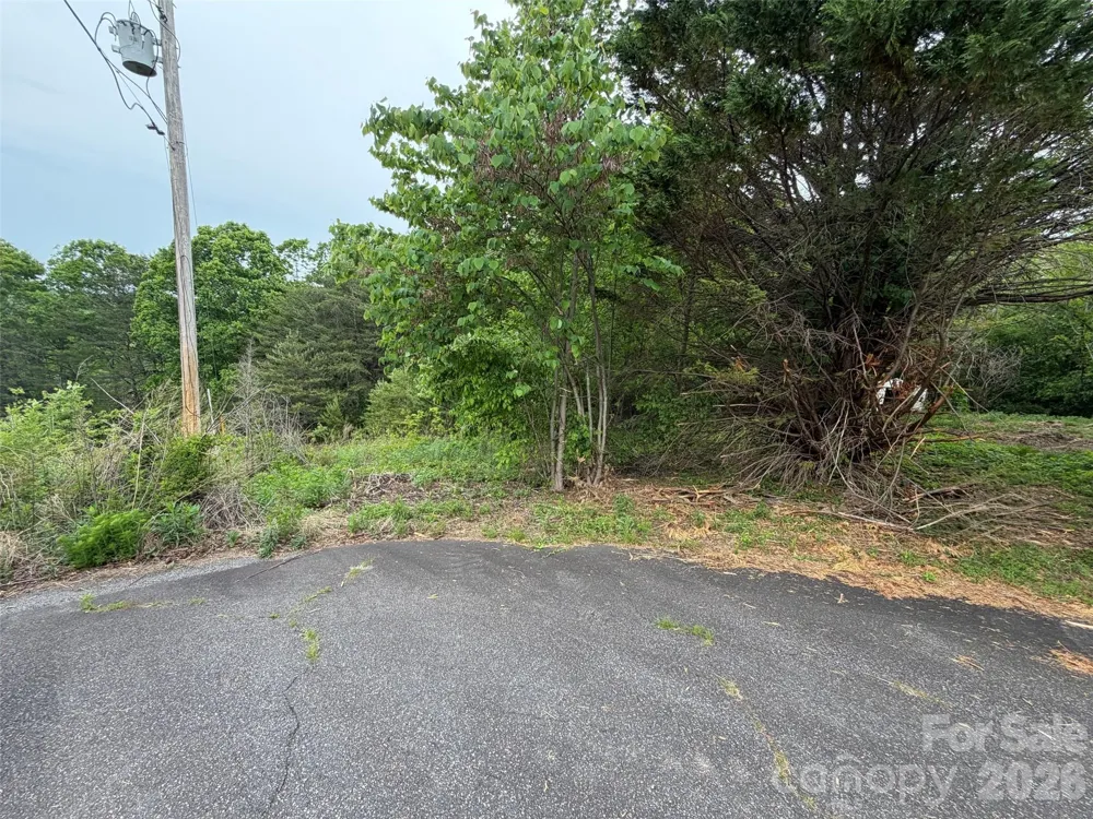7557 Cowtail Lane Connelly Springs, NC 28612