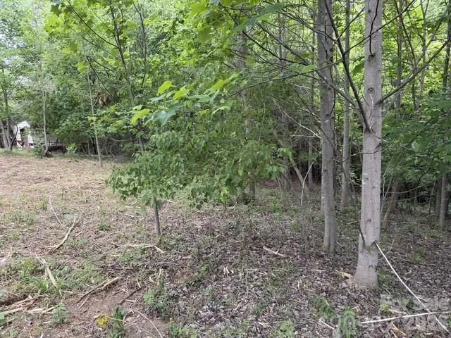 7557 Cowtail Lane Connelly Springs, NC 28612
