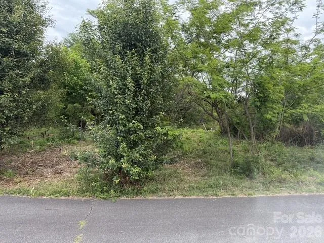 7557 Cowtail Lane Connelly Springs, NC 28612