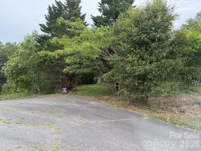 7557 Cowtail Lane Connelly Springs, NC 28612