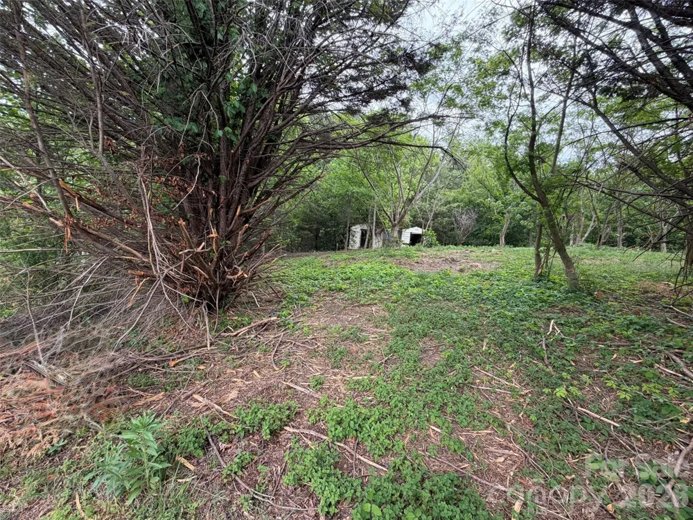 7557 Cowtail Lane Connelly Springs, NC 28612