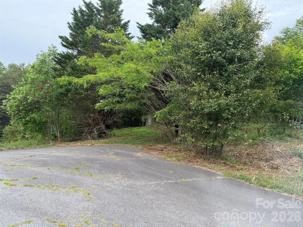 7557 Cowtail Lane Connelly Springs, NC 28612