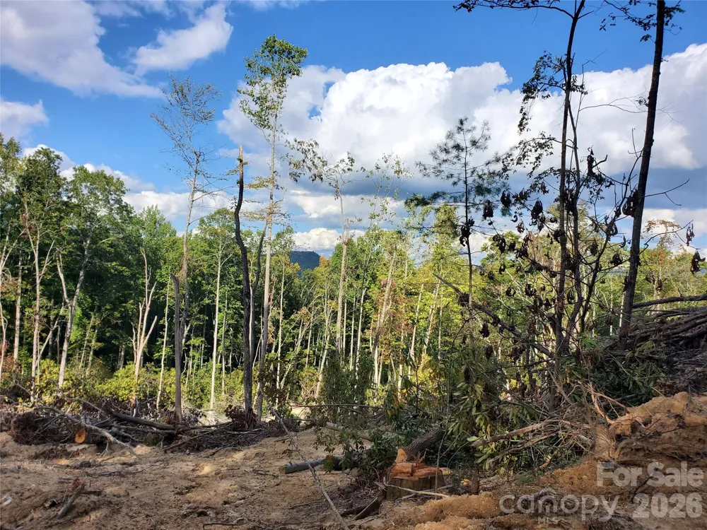 00 Parkwood Hill Road #32 Spruce Pine, NC 28777