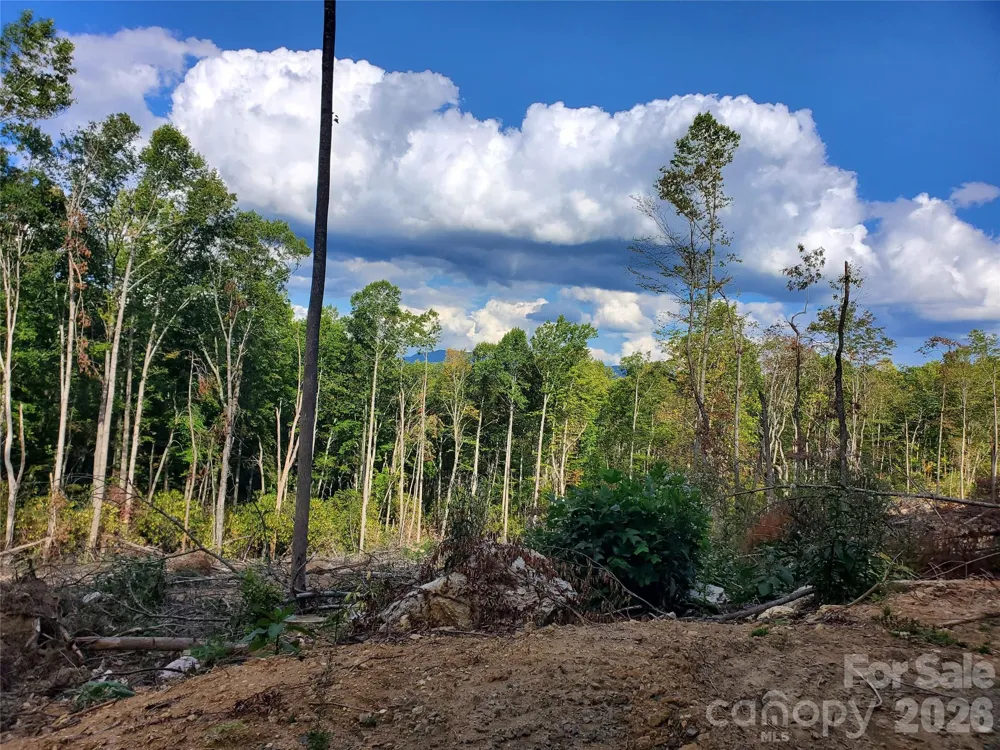 00 Parkwood Hill Road #32 Spruce Pine, NC 28777