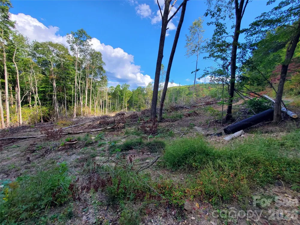 00 Parkwood Hill Road #32 Spruce Pine, NC 28777