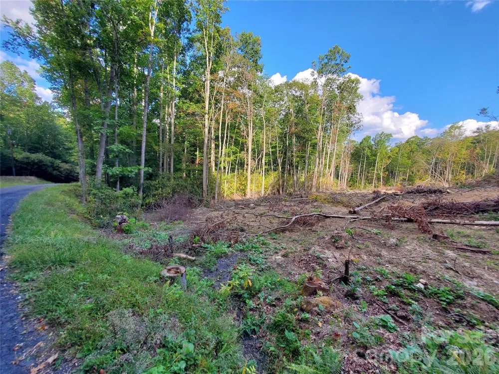 00 Parkwood Hill Road #32 Spruce Pine, NC 28777