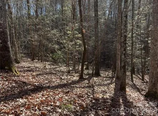 0 Twin Maple Way #5 Mill Spring, NC 28756