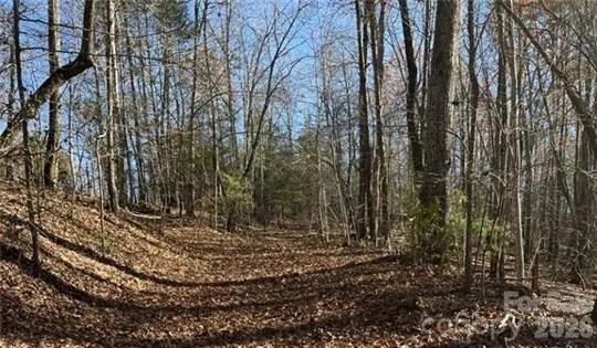 0 Twin Maple Way #5 Mill Spring, NC 28756