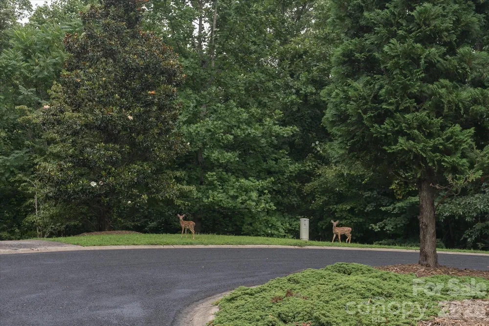0 Twin Maple Way #5 Mill Spring, NC 28756