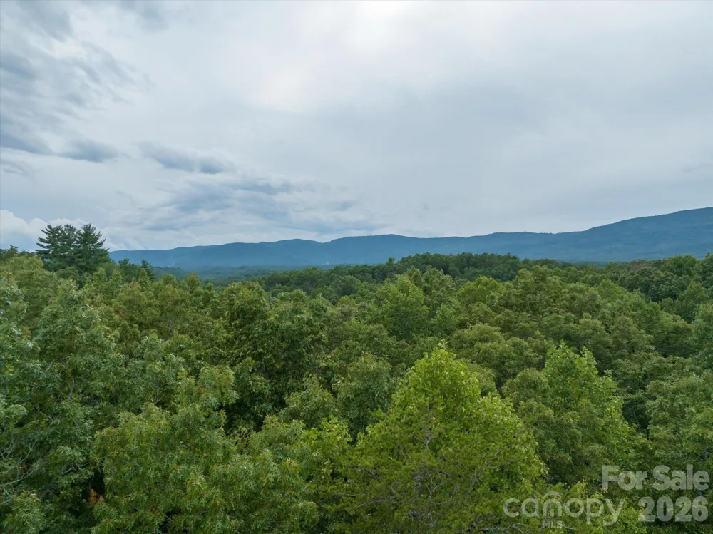 0 Twin Maple Way #5 Mill Spring, NC 28756
