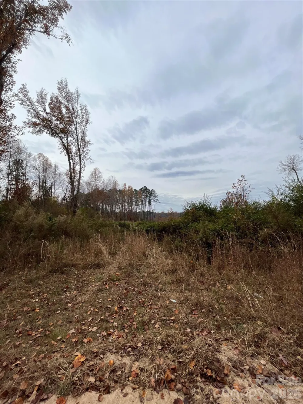 TBD Wire 2 Road Cheraw, SC 29520