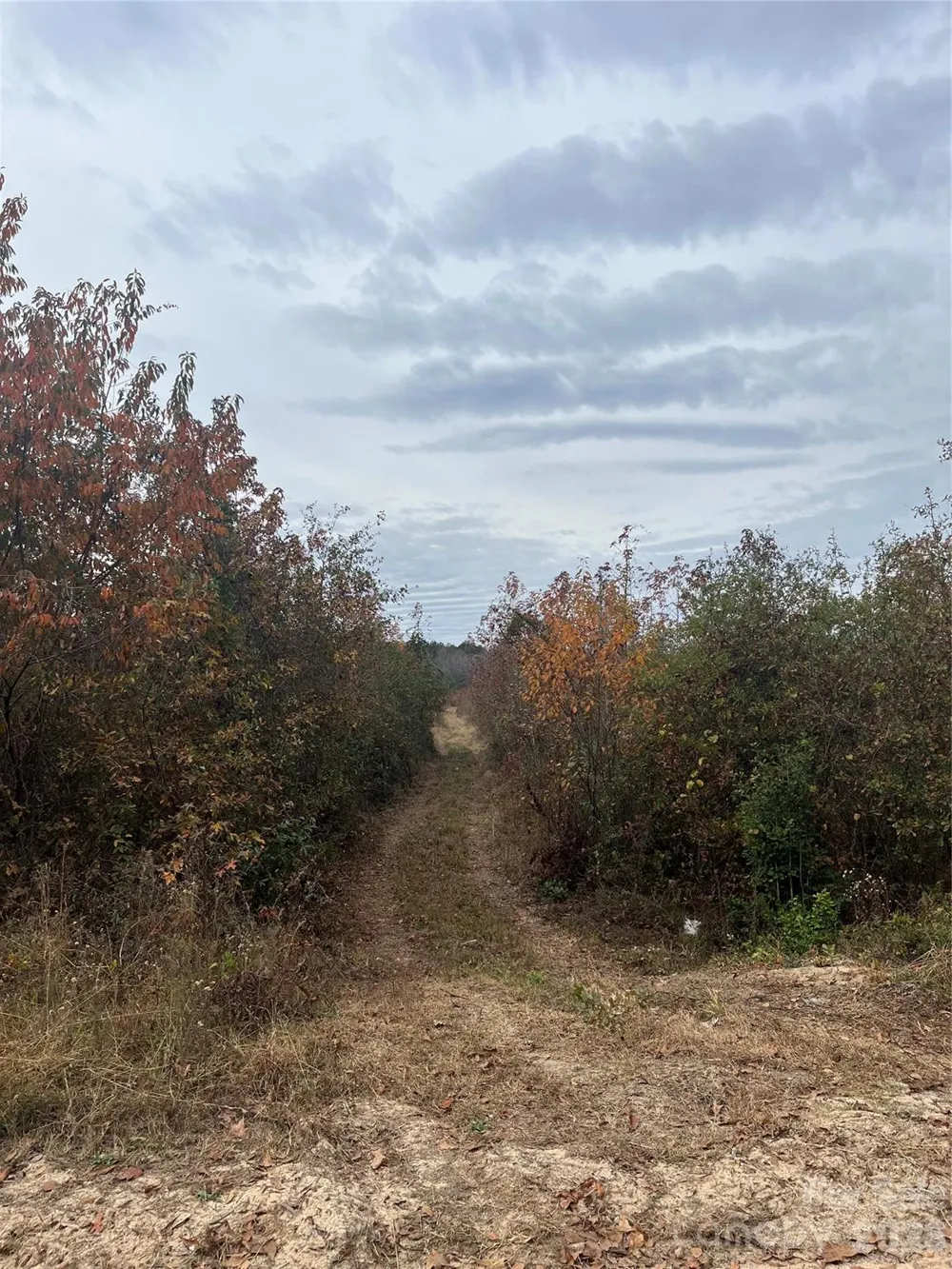 TBD Wire 2 Road Cheraw, SC 29520