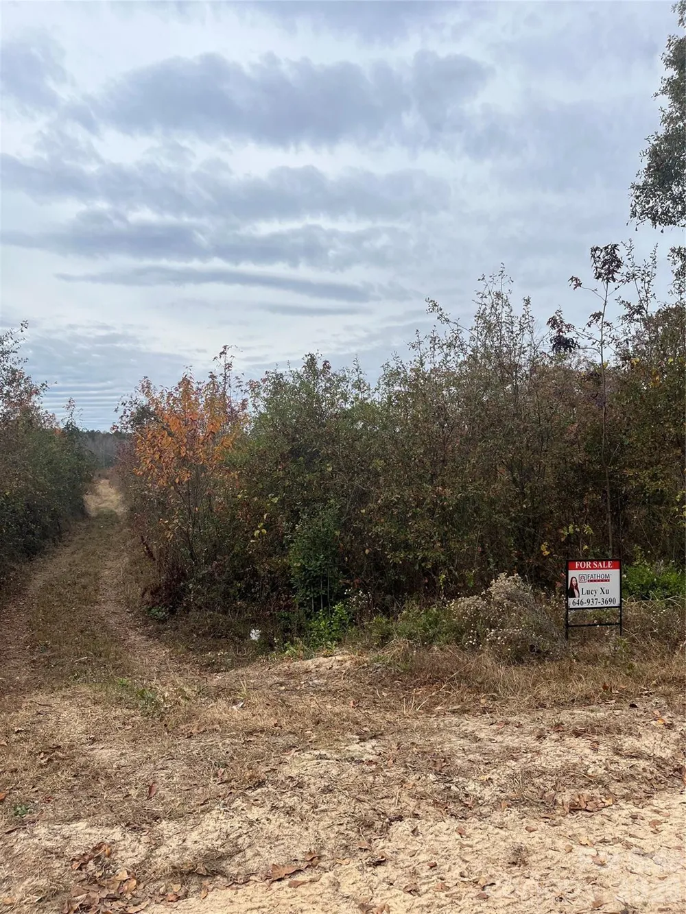 TBD Wire 2 Road Cheraw, SC 29520