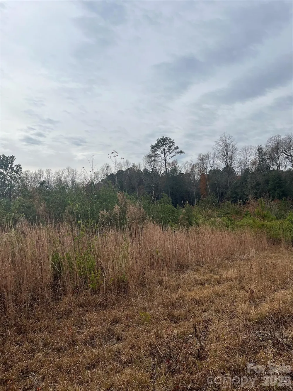 TBD Wire 2 Road Cheraw, SC 29520