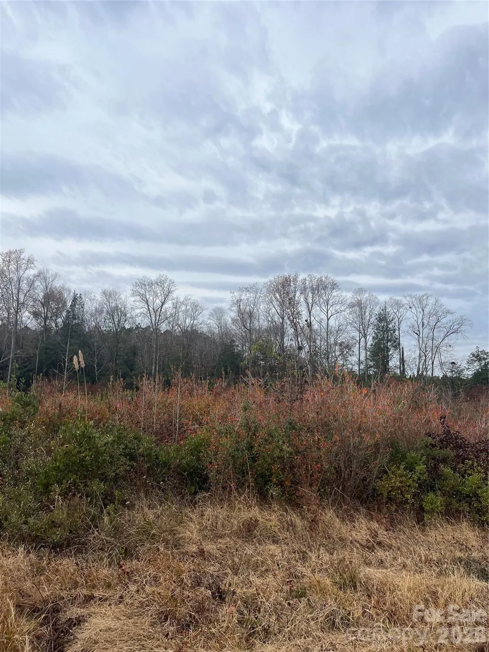 TBD Wire 2 Road Cheraw, SC 29520