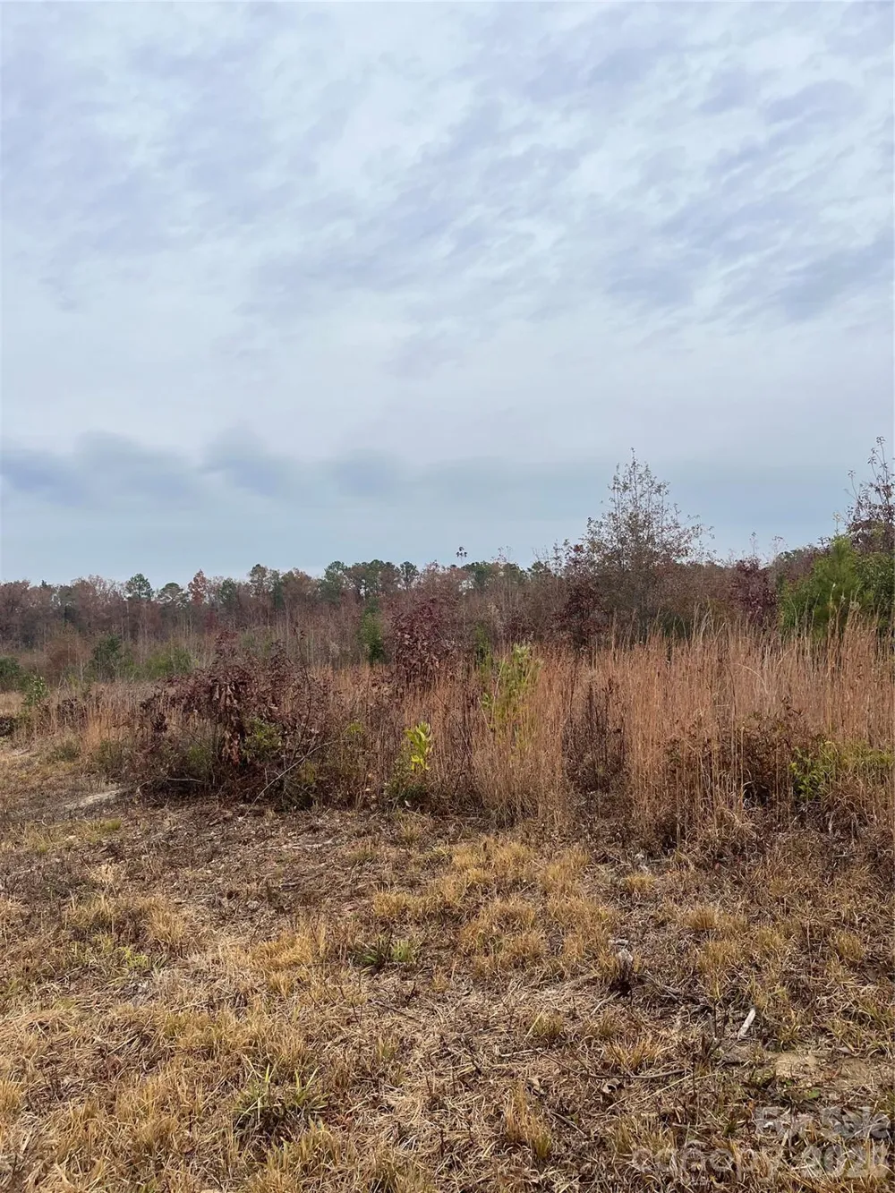 TBD Wire 2 Road Cheraw, SC 29520