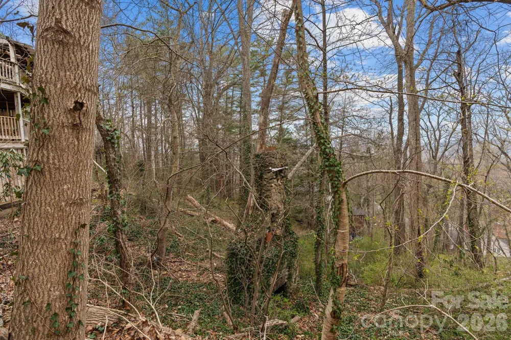 355 Sunset Drive Asheville, NC 28804
