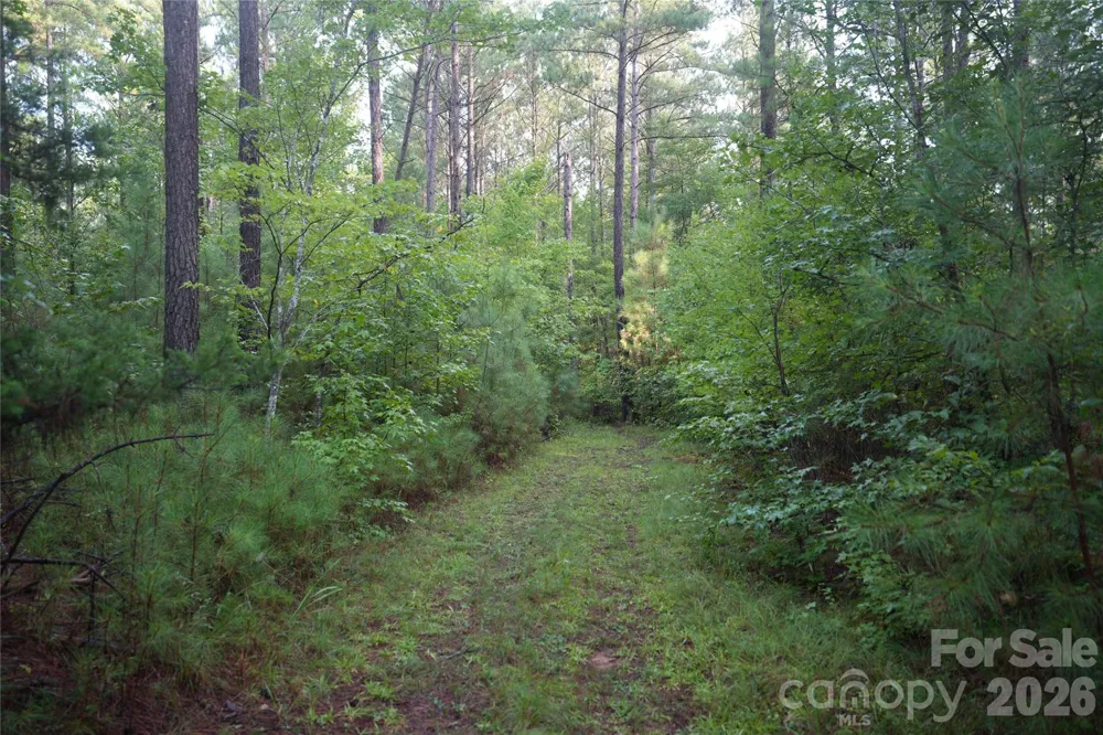 00 Bobby Faucette Road #5 Jonesville, SC 29353