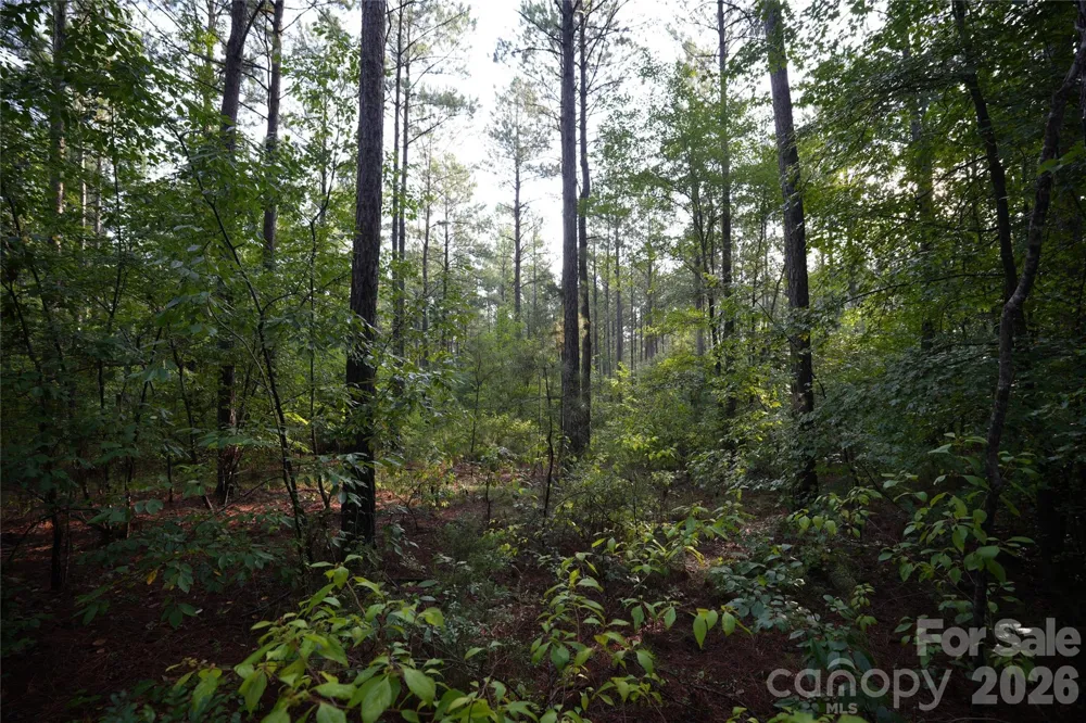 00 Bobby Faucette Road #5 Jonesville, SC 29353