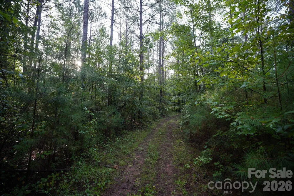 00 Bobby Faucette Road #5 Jonesville, SC 29353