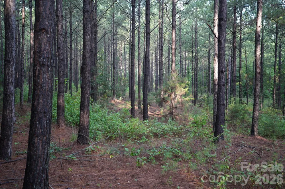 00 Bobby Faucette Road #5 Jonesville, SC 29353