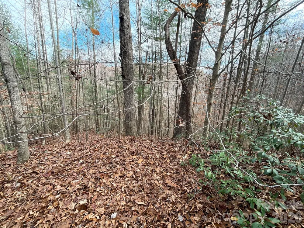 3308 Valley Drive #9m 10m Lenoir, NC 28645