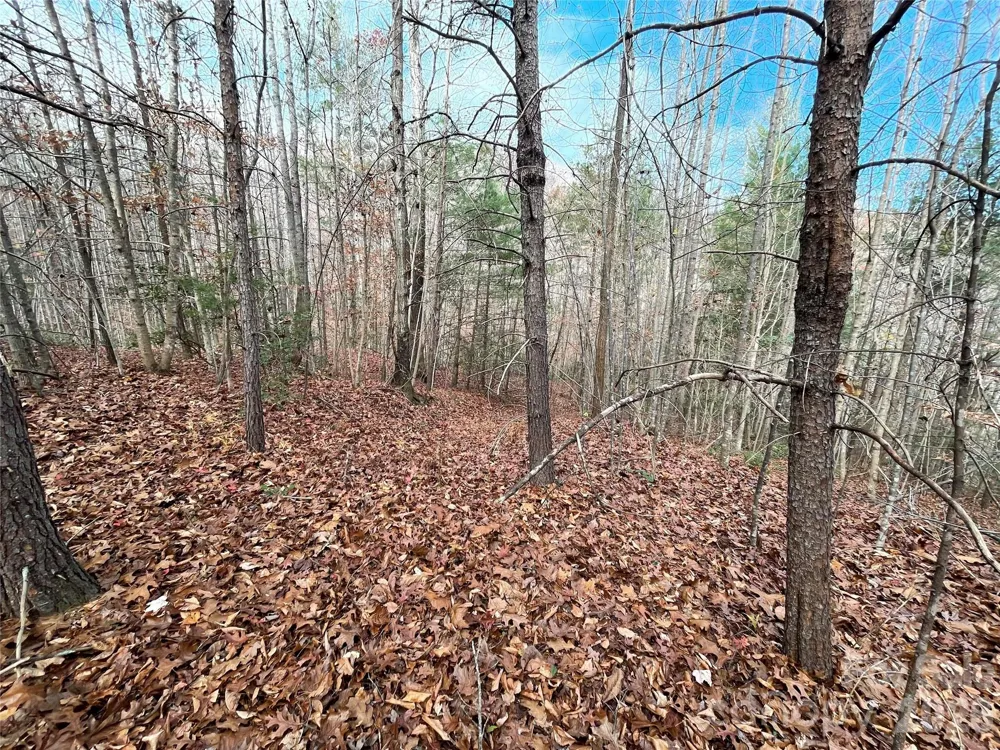 3308 Valley Drive #9m 10m Lenoir, NC 28645