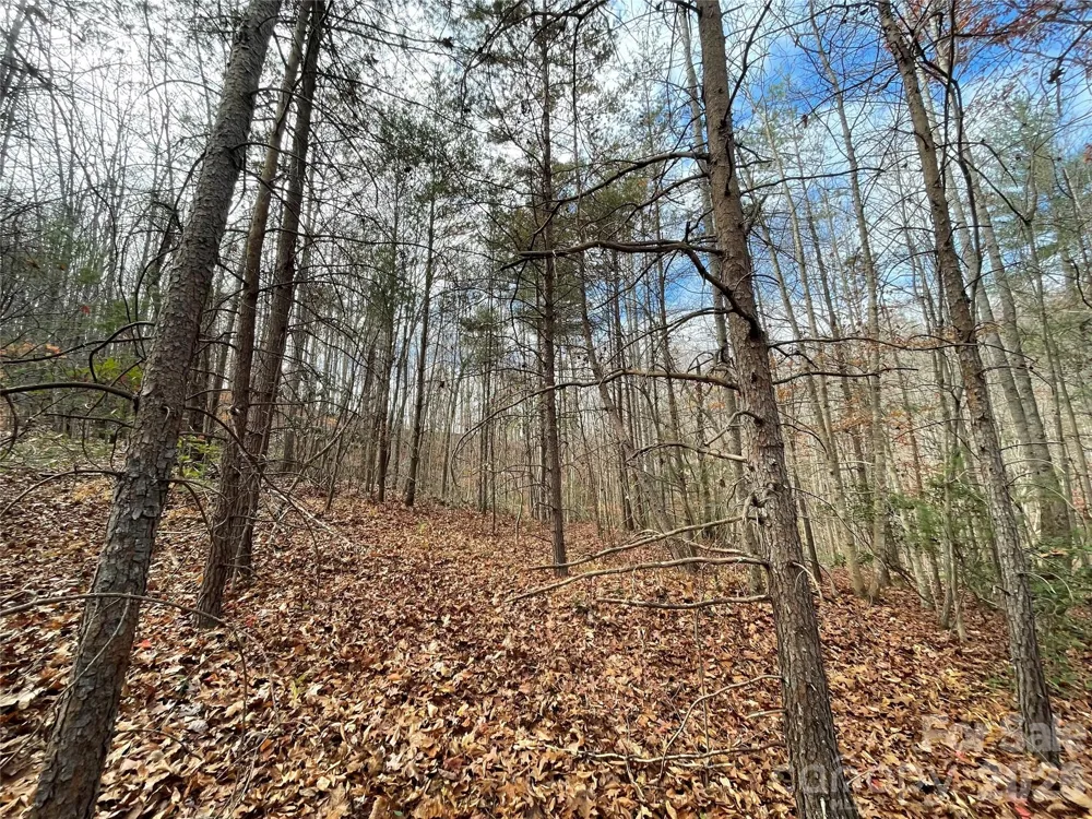 3308 Valley Drive #9m 10m Lenoir, NC 28645