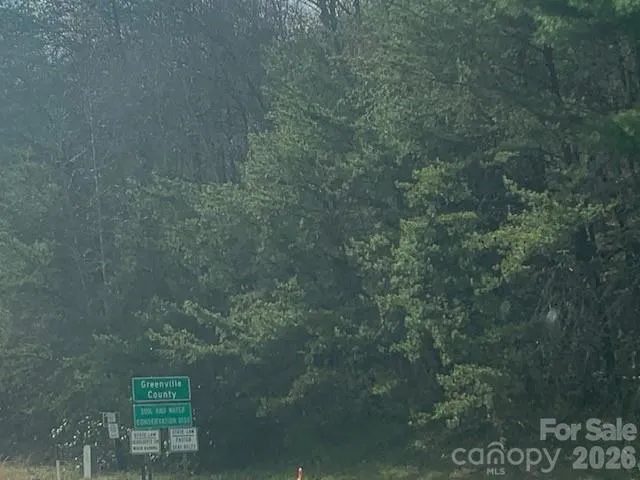 LOT 92 MOUNTAIN SUMMIT ROAD #92 Zirconia, NC 28790