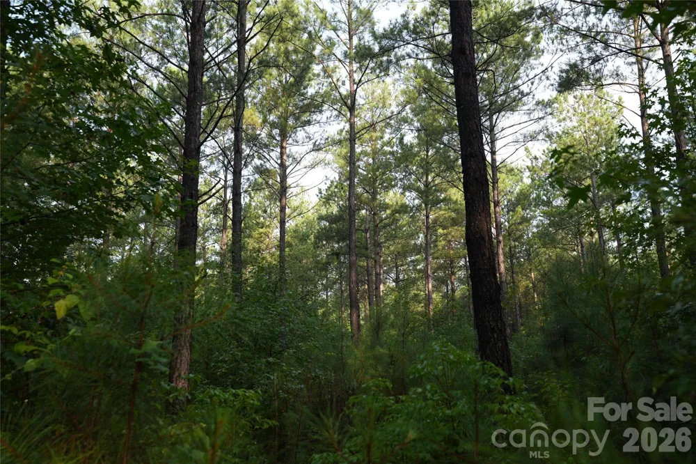 00 Bobby Faucette Road #6 Jonesville, SC 29353