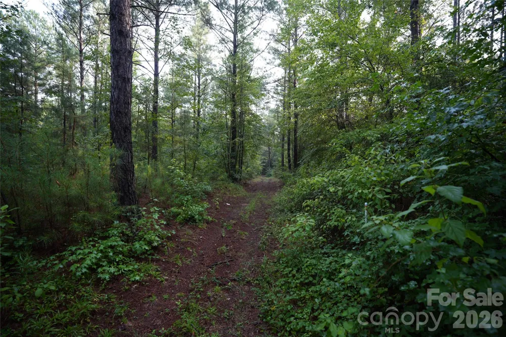00 Bobby Faucette Road #6 Jonesville, SC 29353