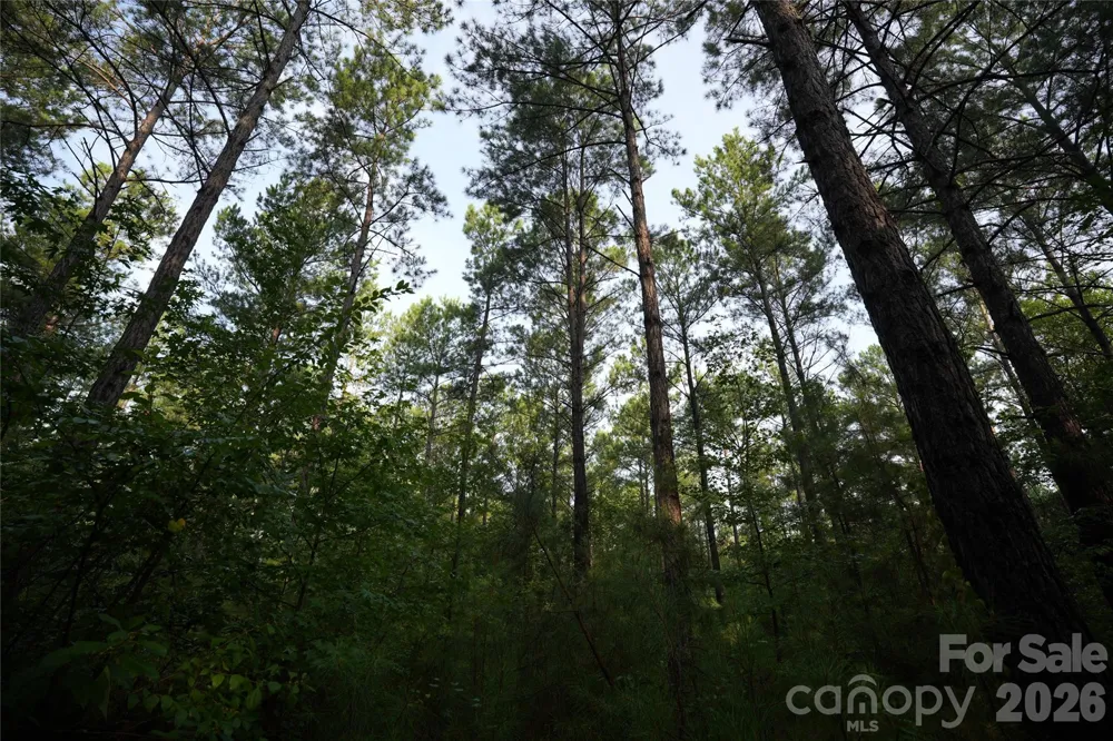 00 Bobby Faucette Road #6 Jonesville, SC 29353