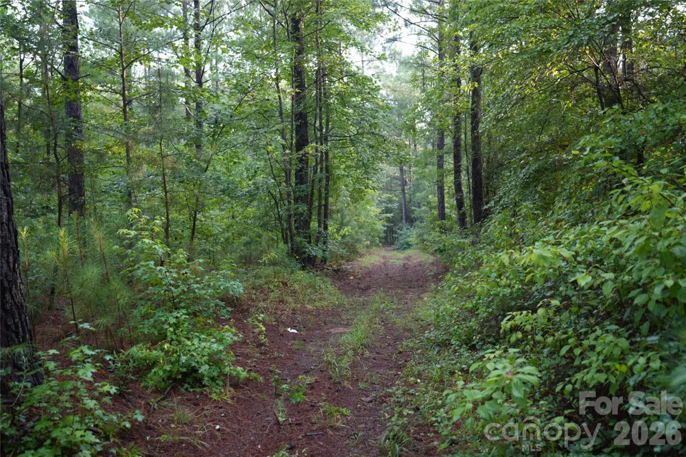 00 Bobby Faucette Road #6 Jonesville, SC 29353