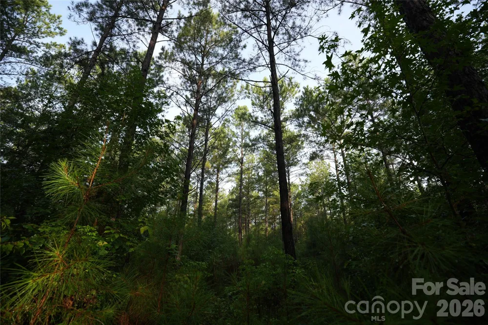 00 Bobby Faucette Road #7 Jonesville, SC 29353