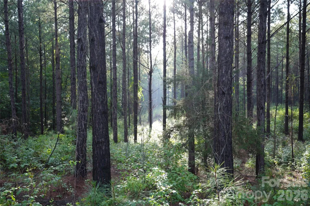 00 Bobby Faucette Road #9 Jonesville, SC 29353