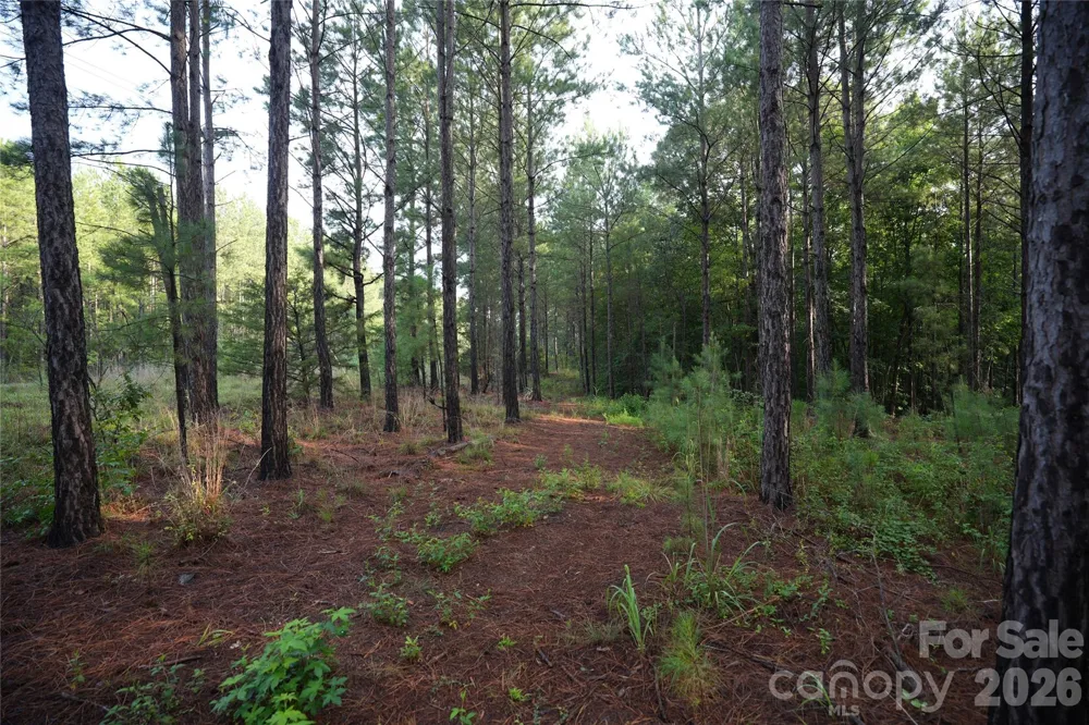 00 Bobby Faucette Road #9 Jonesville, SC 29353