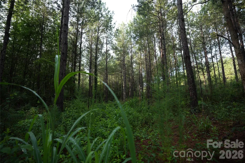 00 Bobby Faucette Road #9 Jonesville, SC 29353