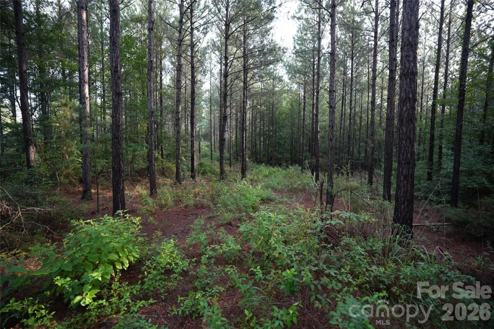 00 Bobby Faucette Road #9 Jonesville, SC 29353
