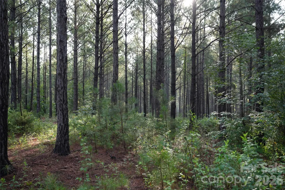 00 Bobby Faucette Road #9 Jonesville, SC 29353