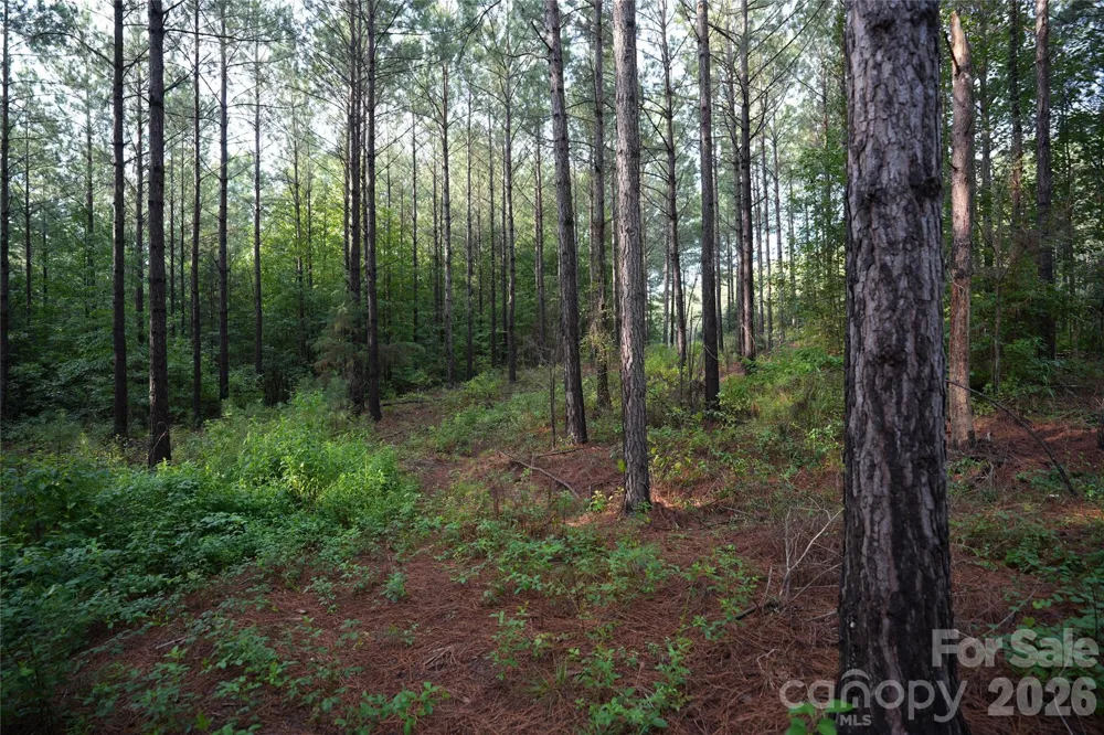 00 Bobby Faucette Road #9 Jonesville, SC 29353