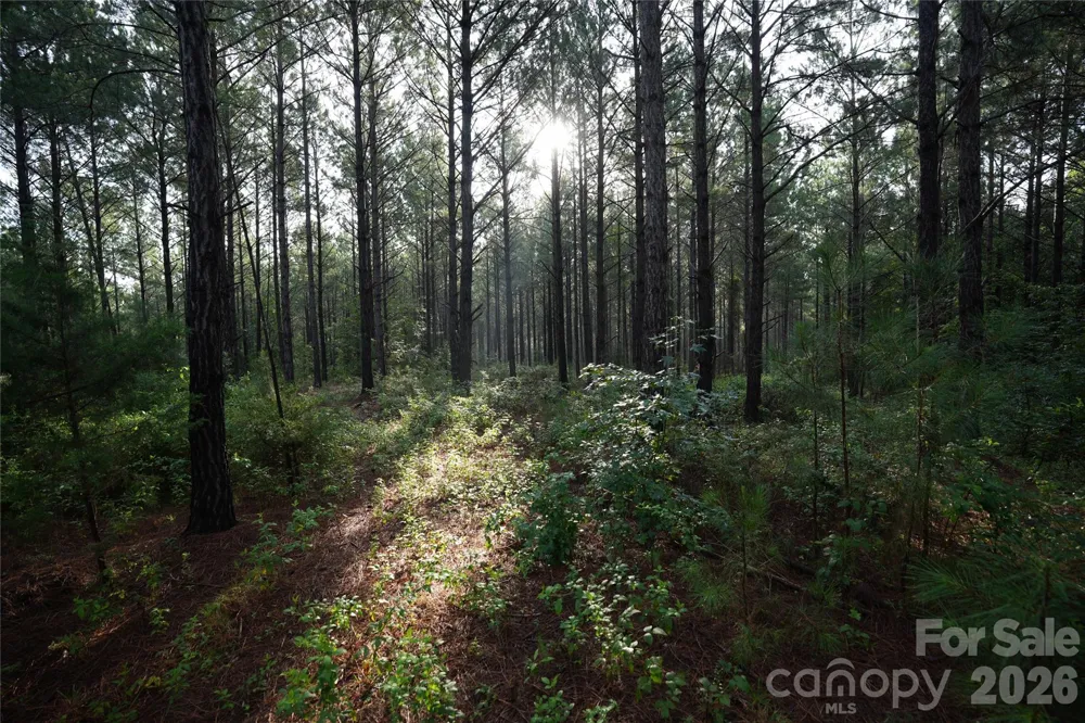 00 Bobby Faucette Road #9 Jonesville, SC 29353