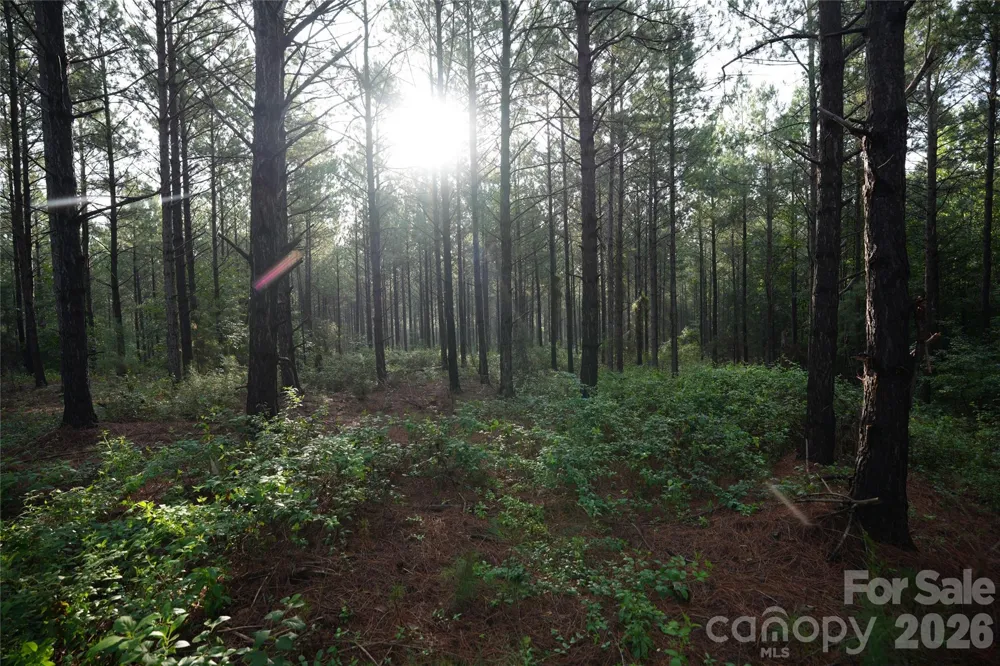 00 Bobby Faucette Road #9 Jonesville, SC 29353