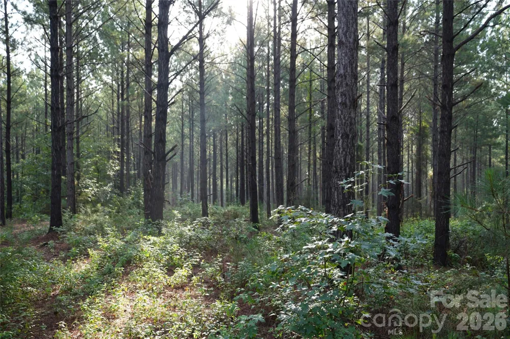 00 Bobby Faucette Road #9 Jonesville, SC 29353