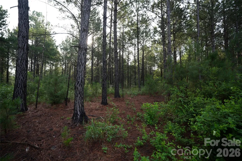 00 Bobby Faucette Road #9 Jonesville, SC 29353