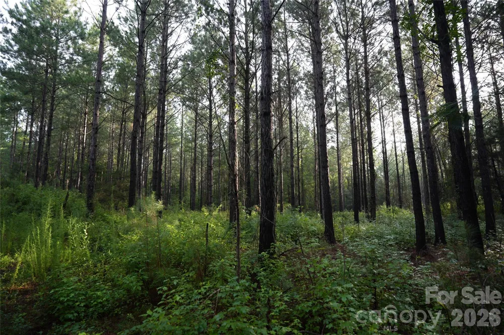 00 Bobby Faucette Road #8 Jonesville, SC 29353