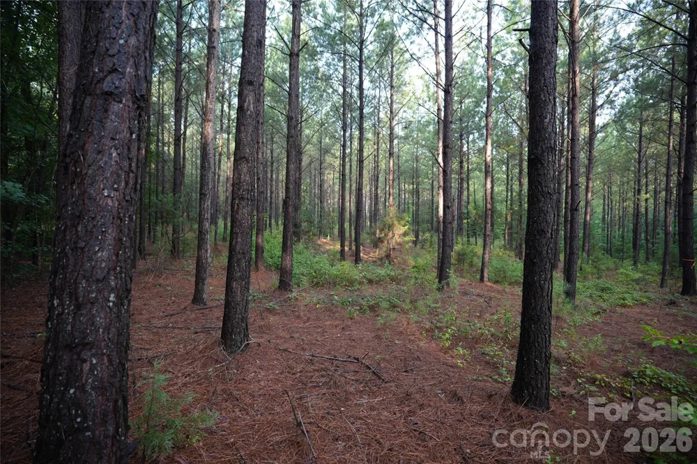 00 Bobby Faucette Road #8 Jonesville, SC 29353