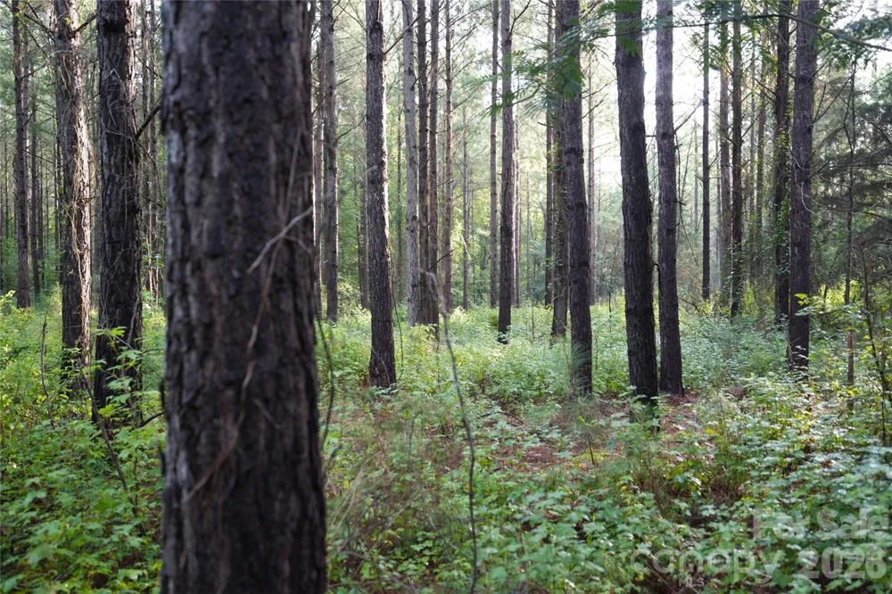 00 Bobby Faucette Road #8 Jonesville, SC 29353