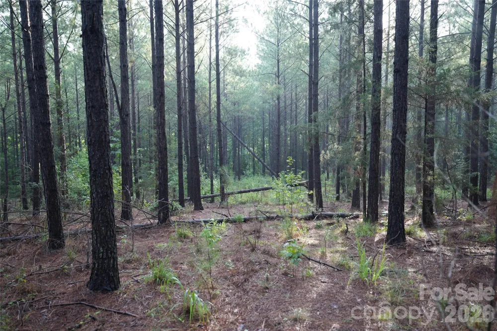 00 Bobby Faucette Road #8 Jonesville, SC 29353