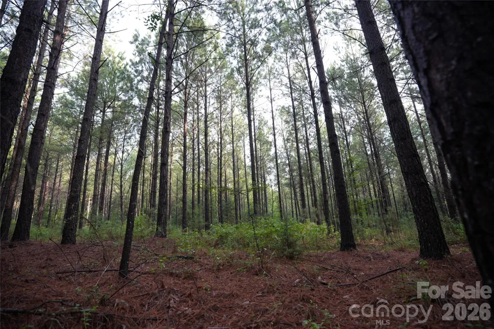 00 Bobby Faucette Road #8 Jonesville, SC 29353