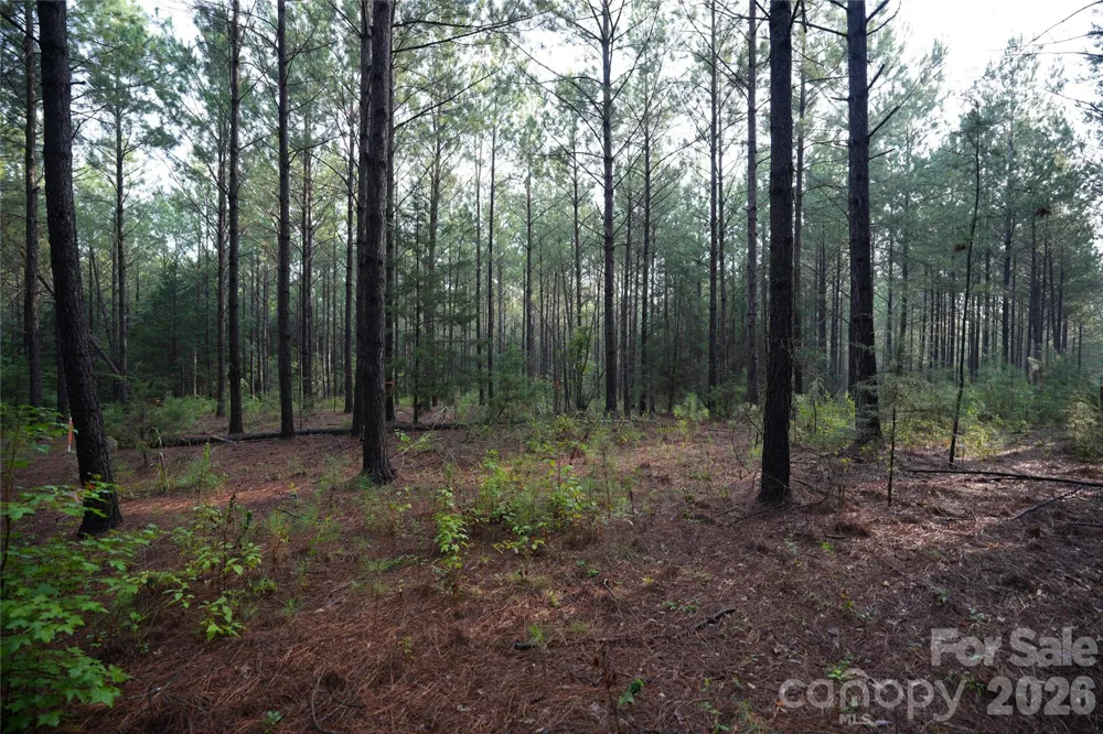 00 Bobby Faucette Road #8 Jonesville, SC 29353